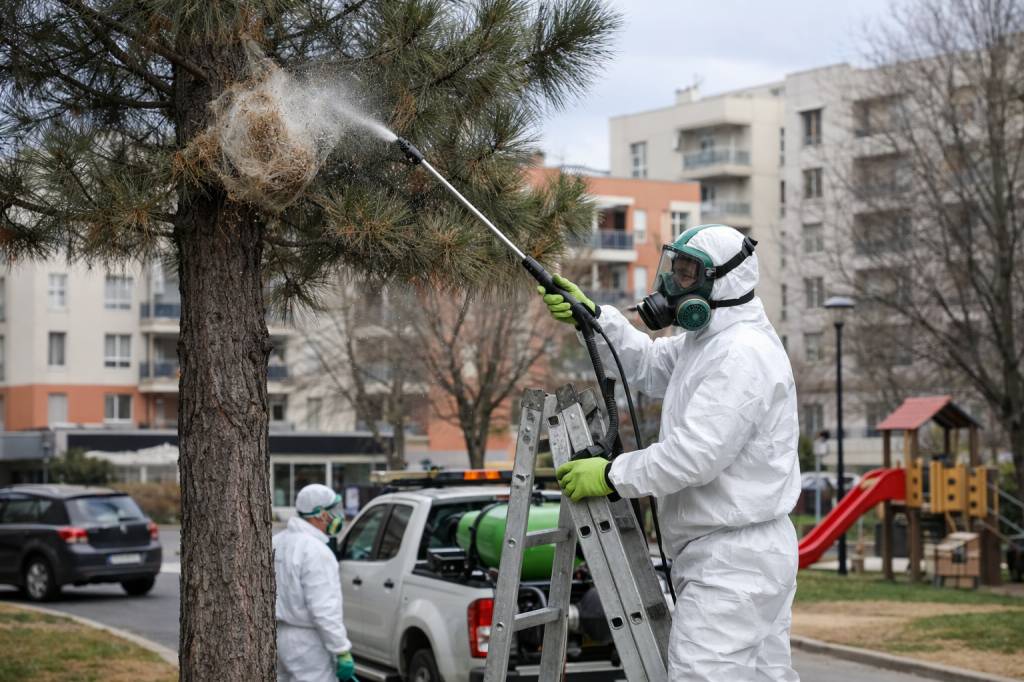 Chenilles processionnaires Vaulx-en-Velin : traitement des arbres en milieu fortement urbanisé